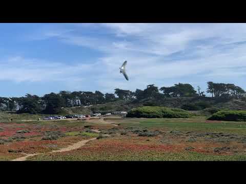 Hang glider pilot nails a perfect landing