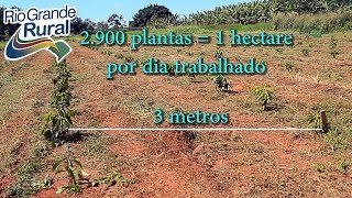 Miniatura do vídeo