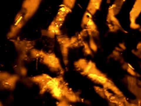 Cerebrum Vortex - Brown Gremlins Inside The Sewersystems
