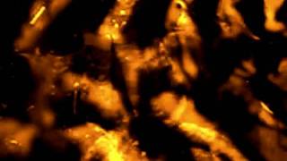Cerebrum Vortex - Brown Gremlins Inside The Sewersystems