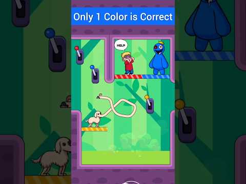 Only One Switch is Correct (Long Dog Borzoi Dog Game) #shorts - YouTube