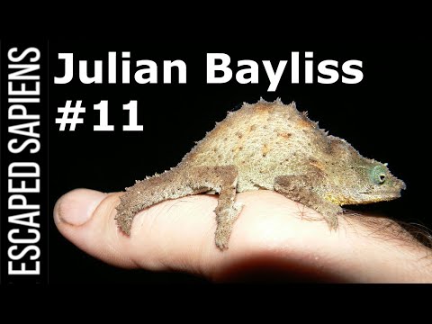 What They Found In The Lost Forests of Africa | Julian Bayliss | Escaped Sapiens Podcast #11