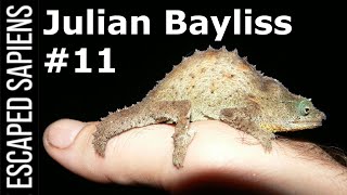 #11 Julian Bayliss | What They Found In The Lost Forests of Africa