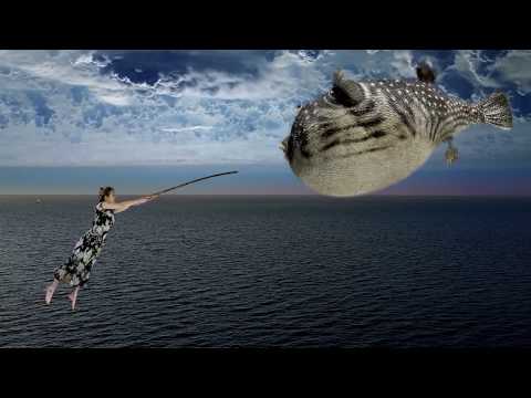 René Aubry " Guitare Bambou"