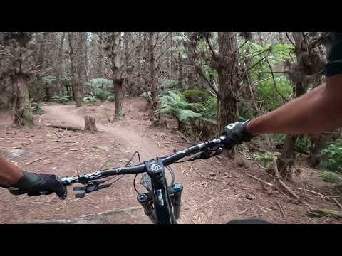 Hot x Buns MTB Rotorua!