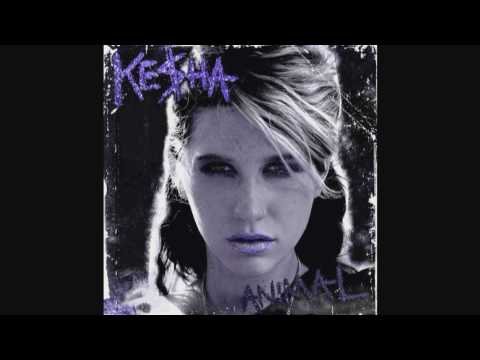 Kesha - Stephen - HD Audio + Lyrics