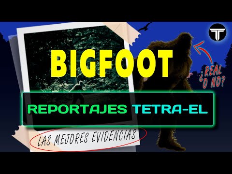 MEJORES  Videos y Evidencias sobre BIGFOOT | REPORTAJES | TETRA-EL