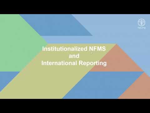 Aspectos relevantes de la institucionalización de los datos forestales – Parte 2