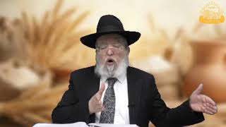 דף היומי בחצי שעה – מסכת מנחות דף צ”ו