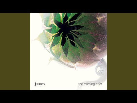Rabbit Hole - James