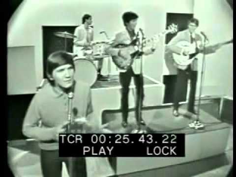 Wayne Fontana & The Mindbenders - Just A Little Bit Too Late (Live)