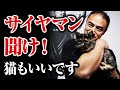 【筋トレ】ペットを飼ってトレーニングができなくなっているサイヤマンさんを救いたい