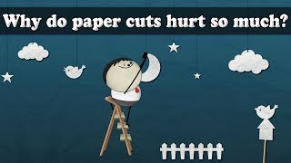 Why do paper cuts hurt so much?