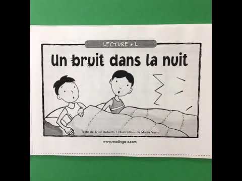 Un bruit dans la nuit