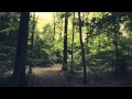 Cillo - Breathe (Vocal Mix) HD-Video 