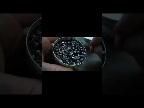Dead Center! with JTS Pellets (NEW!) | Pellet Review \u0026 Hunt | FX Crown MKII #viral
