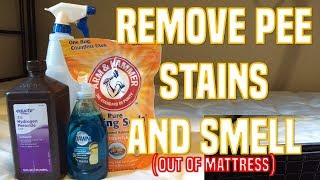 Remove Pee STAIN/SMELL (Out of Mattress)