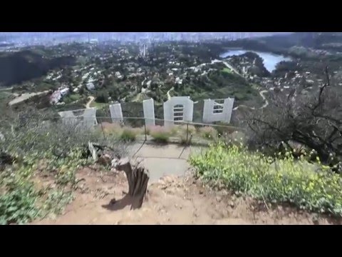 "To live will be an awfully big adventure." - Peter Pan