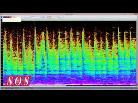 Samplitude Pro X - The Spectral Cleaning Offline Editor