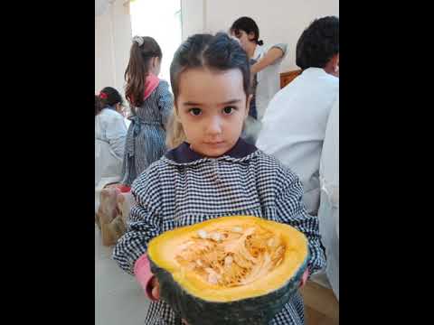 Escuela Rural N° 52 Belgrano Sur