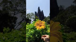 Download lagu yana caves😍 mp3