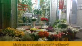 istanbul eyüpte çiçekçi 05076903030