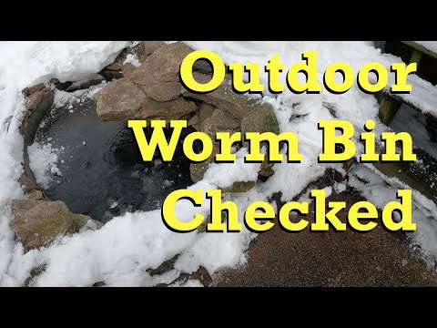 Outdoor worm bag after 2 weeks sheltered from cold - vermicomposting