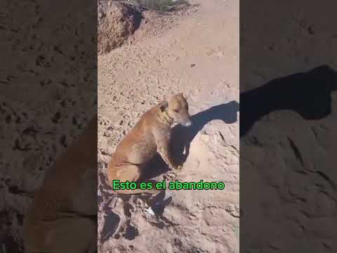 Barrio Sol y Sierra.  Godoy Cruz..Mendoza. Queres colaborar  ? 2617231725