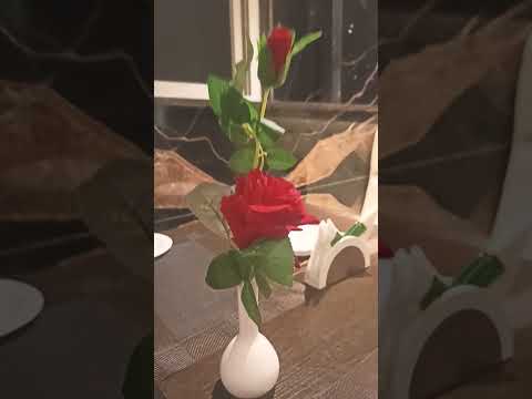 happy valentine's day special Rose flower 🌹🌷🥀