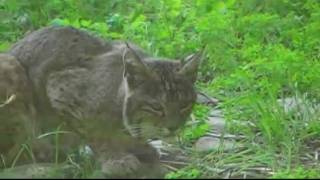 LOGGY - OUR LITTLE SECRET "UNOFFICIAL" OUTLAW MOTION PICTURES.mpg