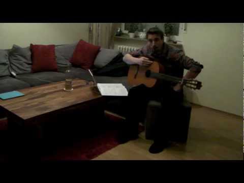 Hansi's Videotagebuch 1.Tag - Gitarre lernen in 30 Tagen