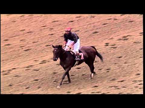 Dispute - 1993 Gazelle Stakes