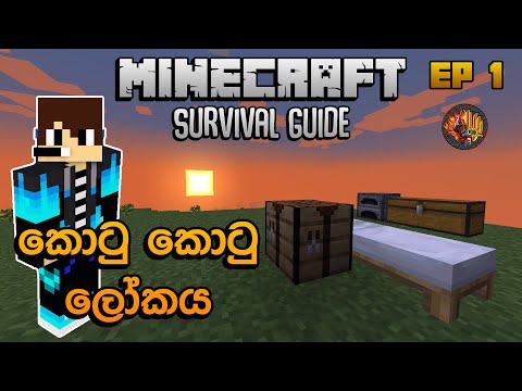 Kadiya Gaming -  Box Box World |  Minecraft Survival Guide Sinhala 1.18 EP 1