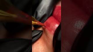 AMBASSADOR / OPIUM COLORS