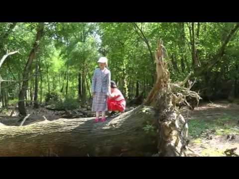 Zarobi-Crawley in Bloom