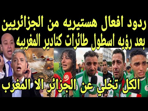 بالفيديو ردود افعال هستيريه من الجزائريين بعد رؤيه اسطول طائرات كنادير المغربيه واطفاء حرائق الجزائر