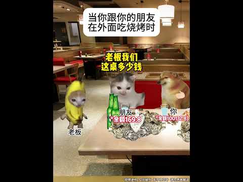 当你跟你的朋友在外面吃烧烤时 #猫meme #内容过于真实 #越存越抠 #买单 #演我精神状态