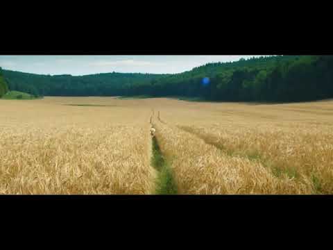 LASSIE COME HOME Official Trailer (2020). Adventure Movie.