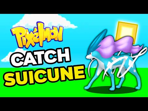How to Find SUICUNE in PIXELMON Reforged 9.1.13!
