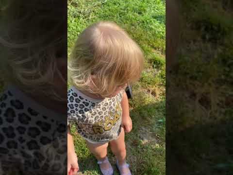 Valerie the tomato destroyer