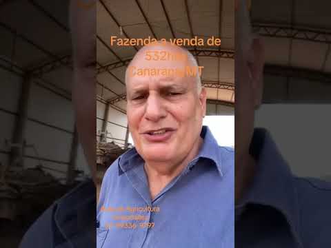 CANARANA VIDEO #fazendaavenda #gado #bandeirantesms