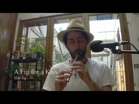 [Tin Whistle] Garech's Wedding / A Fig for a Kiss (Slip Jigs)