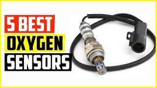 The 5 Best Oxygen Sensors Reviews and Buying Guide
