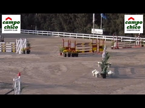 PRUEBA NRO 1   S,V 0,80 m TOD