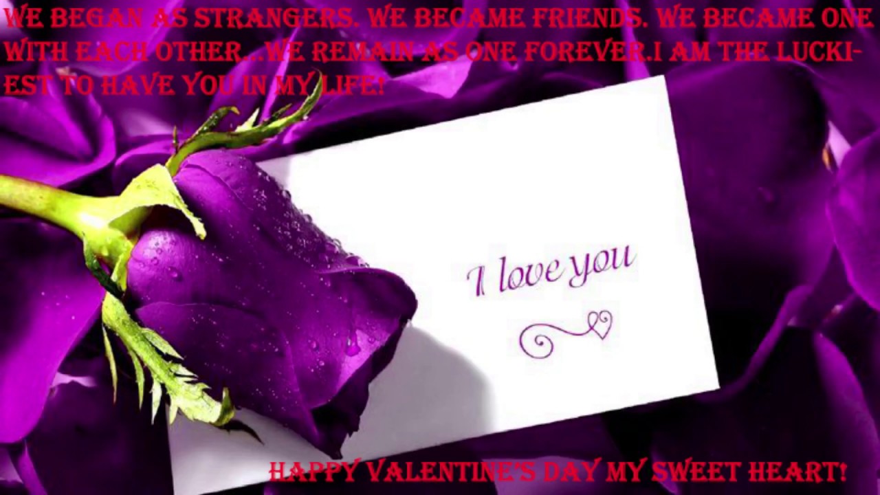 Journey Of Love (With Best Love Quotes)