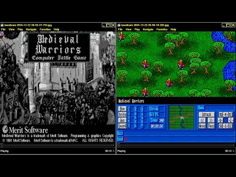 Medieval Warriors picture