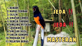 Download lagu ‼️ SADIS ADA JEDA MASTERAN MURAI BATU GACOR ISIAN MEWAH mp3