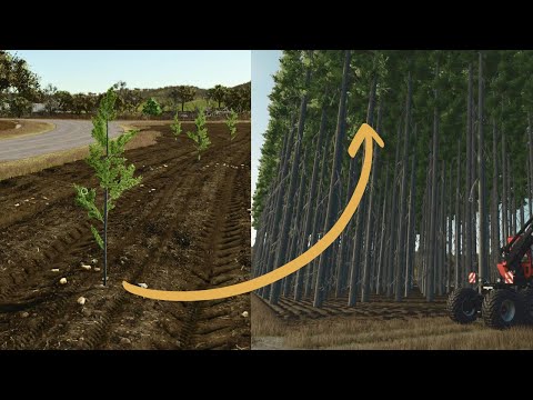 How To Start A Logging / Forestry Farm In Farming Simulator 25