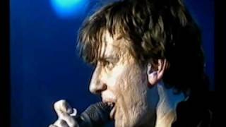 Triffids - 1987-07-03 - Roskilde Festival, DK - Kellys Blues