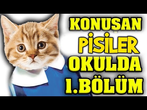 KONUŞAN PİSİLER OKULDA 1. BÖLÜM (BİR SAAT)